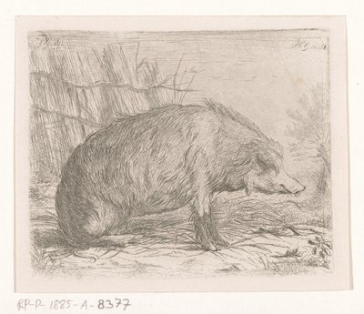 Javali sentado de Jacobus Cornelis Gaal
