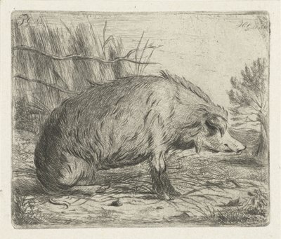 Javali selvagem sentado de Jacobus Cornelis Gaal