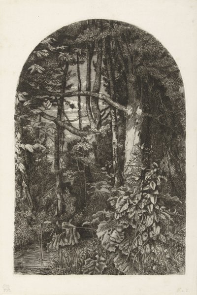 Floresta com riacho de Jacobus Ludovicus Cornet