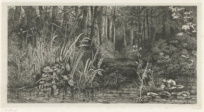 Ribeira da floresta de Jacobus Ludovicus Cornet