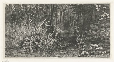 Ribeira da floresta de Jacobus Ludovicus Cornet
