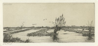Lago de Turfa de Jacobus Ludovicus Cornet