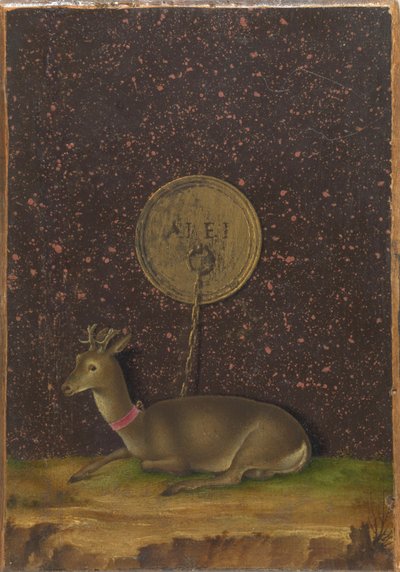 Retrato de Alvise Contarini(); (verso) Um Roebuck amarrado de Jacometto Veneziano