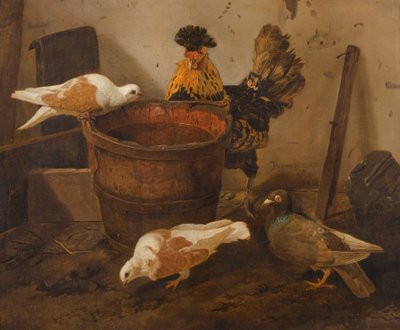 Três pombos e um galo junto a um balde de água de Jacomo Victors