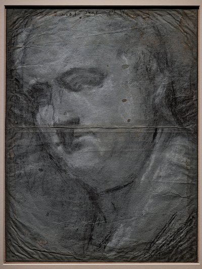 Retrato de Vitellio Grimani de Jacopo (1510 92) Bassano