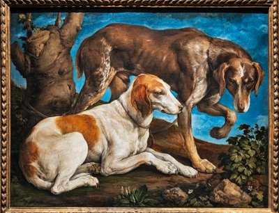 Retrato de dois cães amarrados a um tronco de Jacopo (1510 92) Bassano