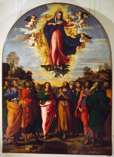 Assunção da Virgem de Jacopo (c.1480 1528) Palma