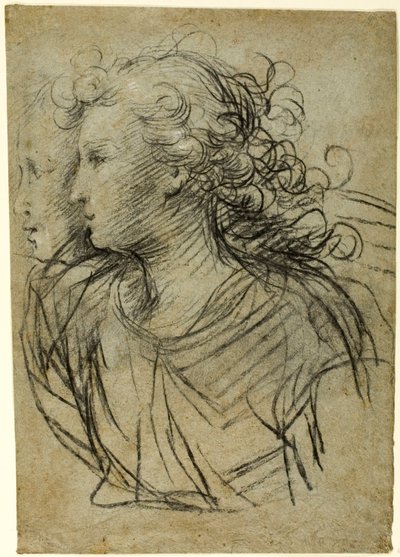 Visão de Meia Comprimento da Mulher de Perfil à Esquerda (reto); Visão de meio comprimento da figura em perfil de três quartos (verso) de Jacopo Confortini