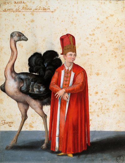 Escravo com avestruz, desenho de Jacopo Ligozzi (1547-1627) de Jacopo Ligozzi