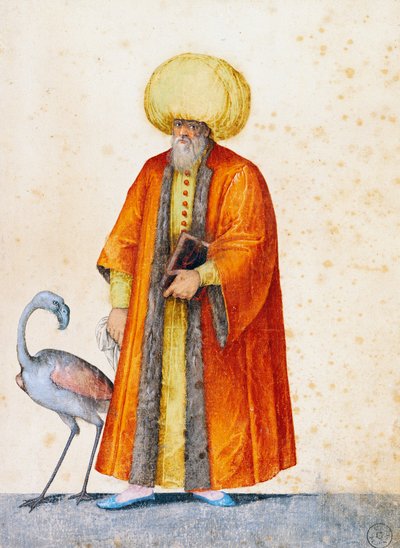 Turco com flamingo, desenho de Jacopo Ligozzi (1547-1627) de Jacopo Ligozzi