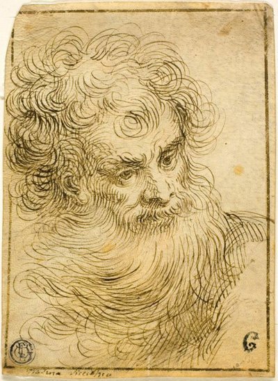 Cabeça de Velho Barbudo (reto); Esboço Decorativo de Flores e Folhas (verso) de Jacopo Palma il Giovane