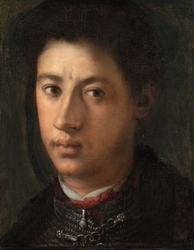 Alessandro de &39;Medici de Jacopo Pontormo
