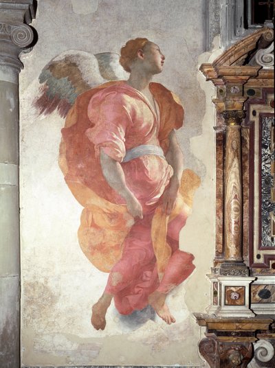 Anunciação. Detalhe do Anjo - Fresco de Jacopo Pontormo