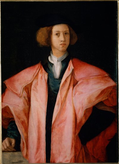Retrato de um jovem provavelmente Alessandro de Medicis - óleo sobre painel de Jacopo Pontormo