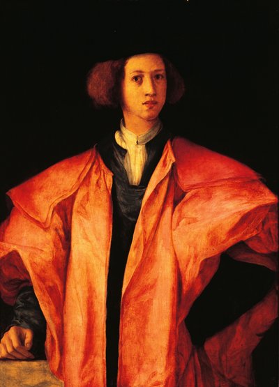 Retrato do jovem, talvez Amerigo Antinori, ca. 1530, de Jacopo Carucci, conhecido como Pontormo (1494-1557), óleo sobre painel de Jacopo Pontormo