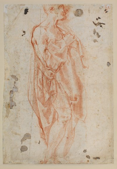 Estudo para São Jerônimo de Jacopo Pontormo