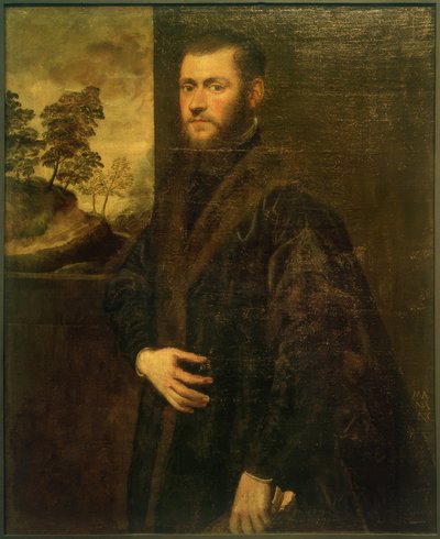 Jovem nobre de Jacopo Robusti Tintoretto