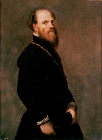 Retrato de um cavalheiro na corrente de ouro Pintura de Jacopo Robusti dit Tintoretto de Jacopo Robusti Tintoretto
