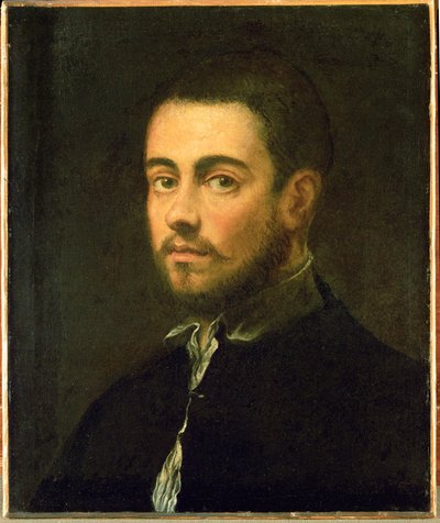 Homem jovem com barba ... (óleo sobre tela) de Jacopo Robusti Tintoretto