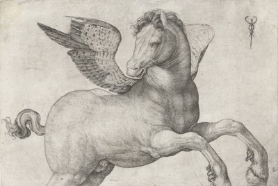 Pégaso, 1509-16 de Jacopo de Barbari