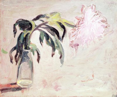 Um Crisântemo numa garrafa (óleo sobre tela) de Jacqueline Marval