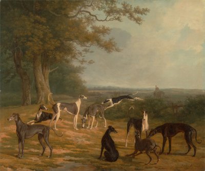 Nove Galgos numa Paisagem de Jacques-Laurent Agasse