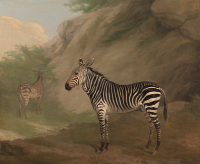 Zebra de Jacques-Laurent Agasse