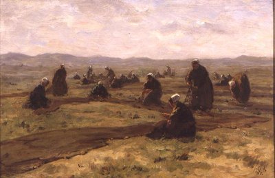 Redes de remendo (óleo no painel) de Jacques Abraham Zon