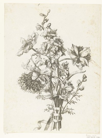 Bouquet com anêmonas, um jacinto e delphiniums Diverse Fleurs mises en Boucquets (título da série) de Jacques Bailly (I)