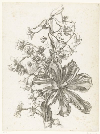 Buquê com uma tulipa, um jacinto, brodiaea e narcisos Diverse Fleurs mises en Boucquets (título da série) de Jacques Bailly (I)