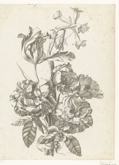 Bouquet com peónias, uma tulipa e um bródio
Diverses Fleurs mises en Boucquets (título da série) de Jacques Bailly (I)