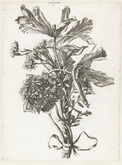 Bouquet com tulipas desbotadas, uma anêmona e immortelles Diverse Fleurs mises en Boucquets (título da série) de Jacques Bailly (I)