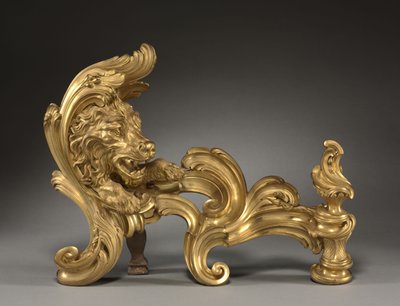 Par de Andirons de Jacques Caffieri