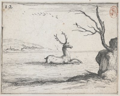 Um veado na água - não. 12 da série de Jacques Callot