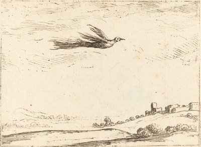Pássaro do paraíso de Jacques Callot