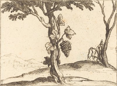 Cacho de uvas de Jacques Callot