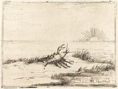 Lagostim olhando para o sol de Jacques Callot