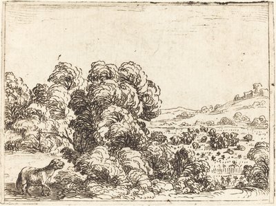 Ovelha Chamando Cordeiro de Jacques Callot