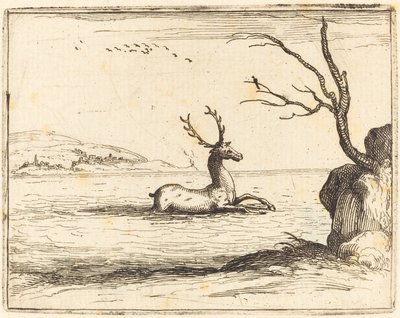 Veado na água de Jacques Callot