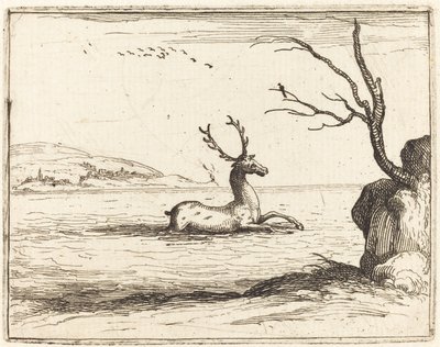 Veado na água de Jacques Callot