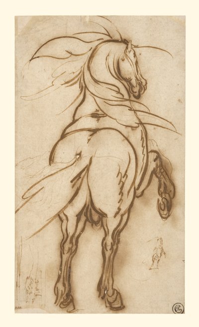 Estudo de um cavalo de criação de Jacques Callot