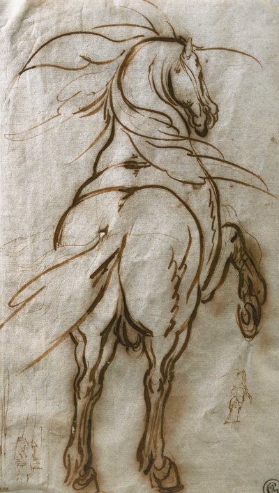 Estudo de um cavalo de criação, com um estudo subsidiário do mesmo e uma vista de uma cidade, de Jacques Callot