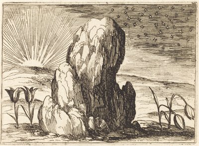 As Tulipas e o Sol, 1628. de Jacques Callot