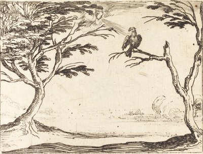 The Vulture de Jacques Callot