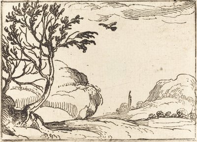 Pomba tartaruga voando no deserto de Jacques Callot