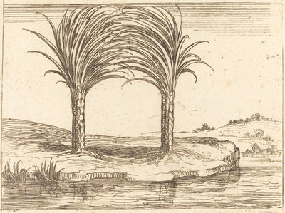 Duas Palmeiras de Jacques Callot