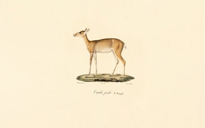  de Jacques Christophe Werner