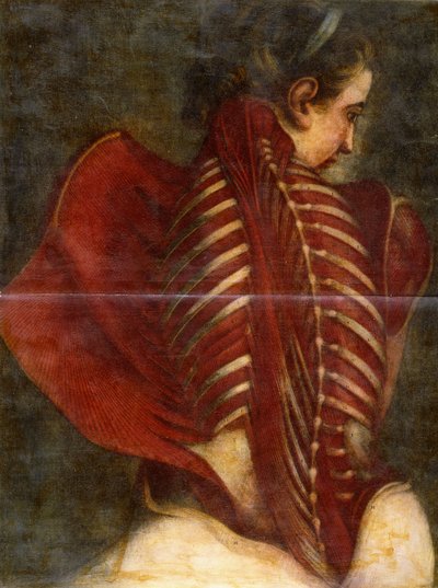 O anjo esfolado, c.1745 de Jacques Fabien Gautier dAgoty