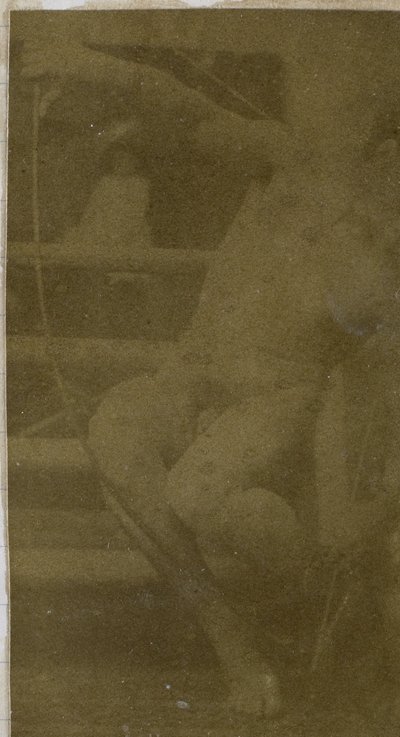 Estudo de um modelo nu masculino sentado em um degrau, visto de frente com uma corda e um laço no colo, no estúdio de Jacques de Lalaing de Jacques Lalaing (attributed to)