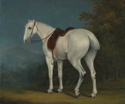 O caçador cinzento de uma senhora de Jacques Laurent Agasse